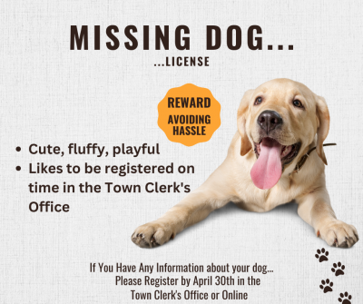 Missing dog license poster describing dog and showing a golden lab laying down