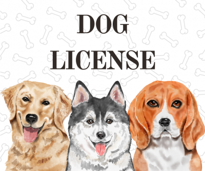 Words Dog License over a drawing of three different breeds of dogs looking at the viewer
