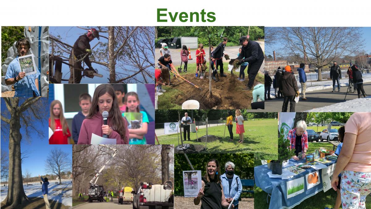 Collage of various tree committee events