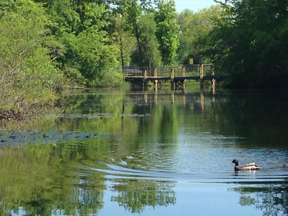 Gilman Park Foot Bridge Town of Exeter New Hampshire Official site