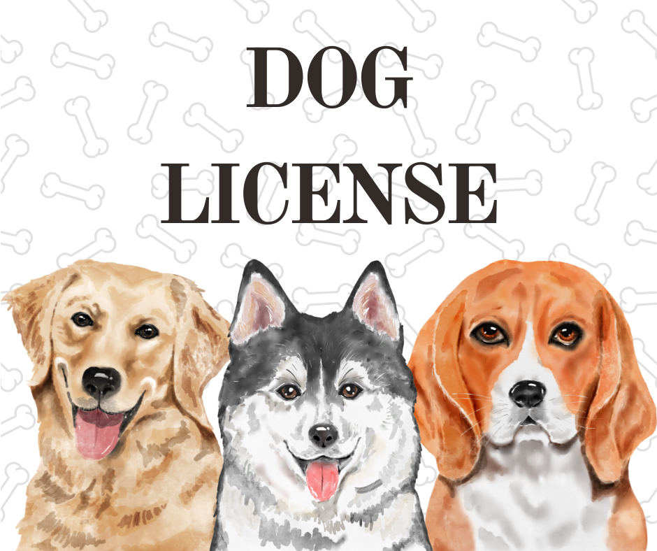 do you have to get your dog licensed