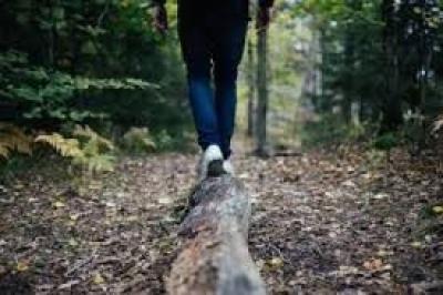 Exeter Trails